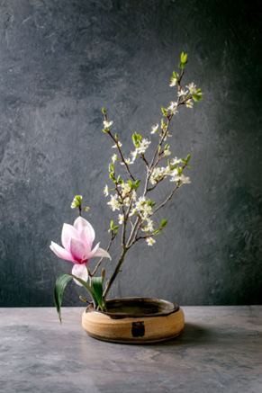 workshop ikebana, japans bloemschikken