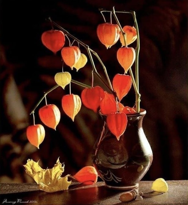 lampionnetjes in de herfst